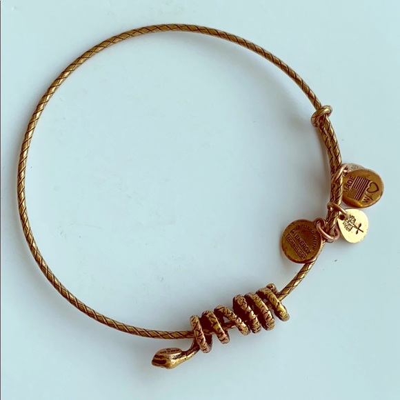 Alex and Ani Jewelry Alex And Ani Snake Bracelet Poshmark